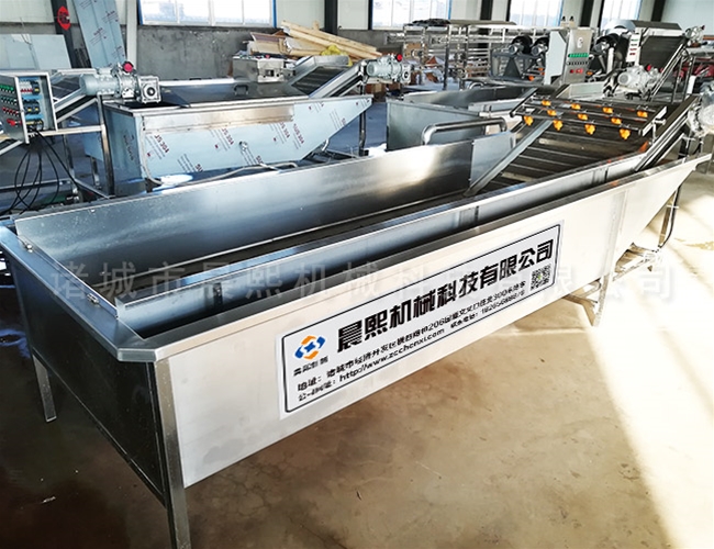 丹參中藥材清洗機效果