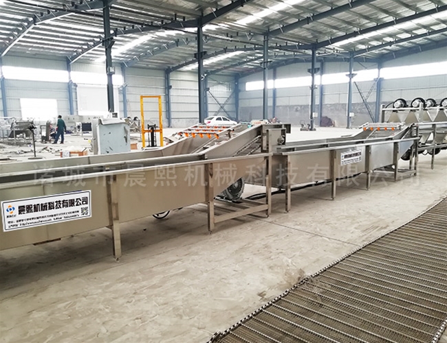 連續式水果清洗機現貨提供