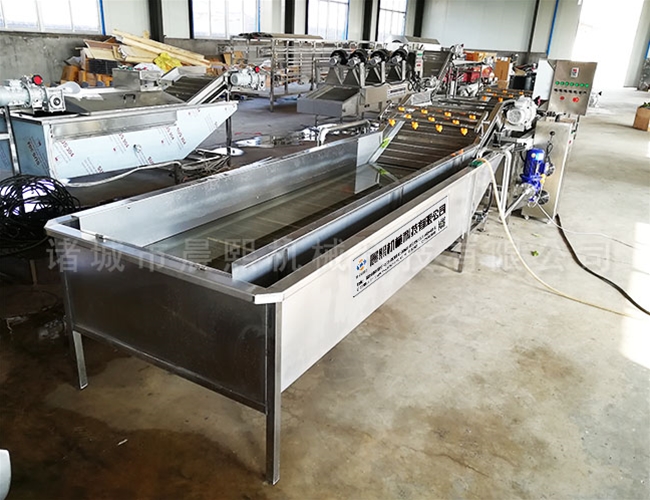 芋頭清洗機效果